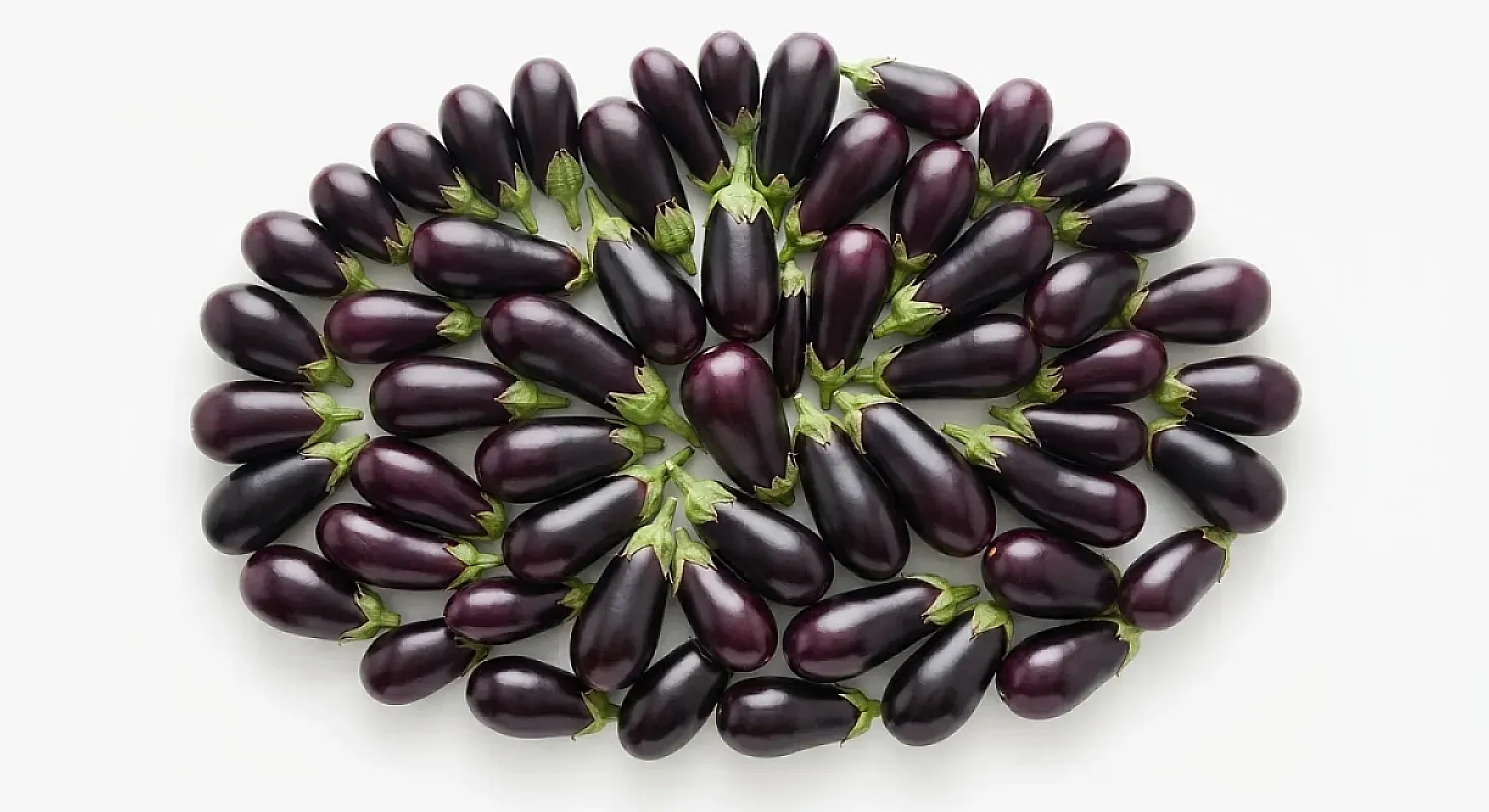 باذنجان