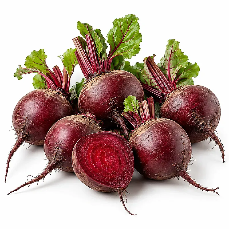 شونذر