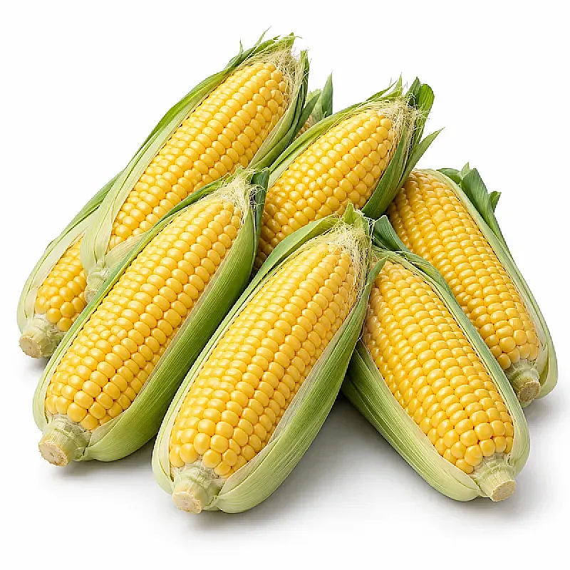 عرنوص