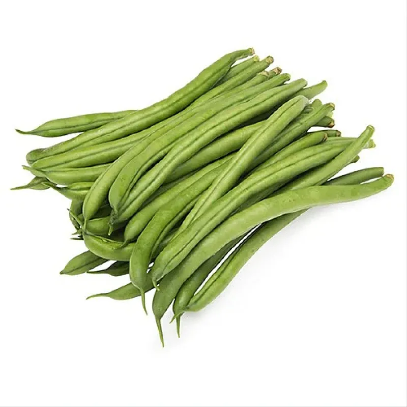 لوبيا خضرا