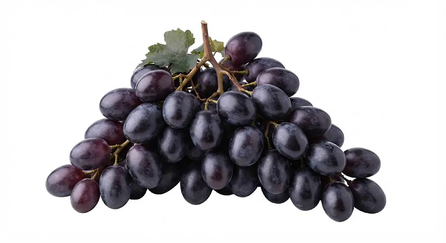عنب اسود