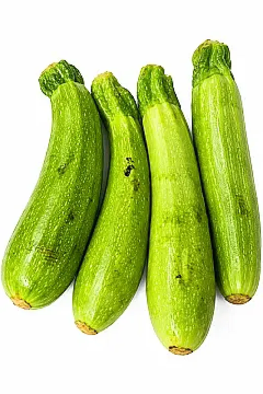 شجر