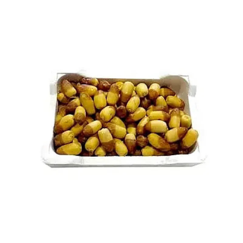 رطب