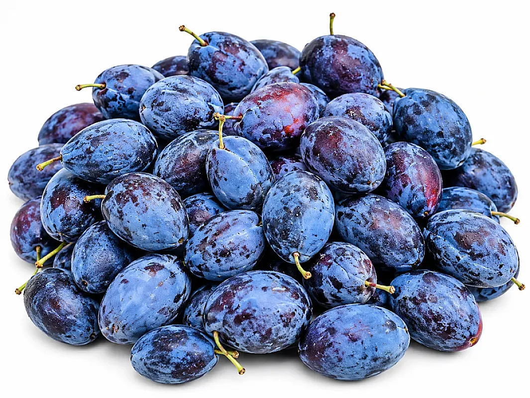 عنجاص