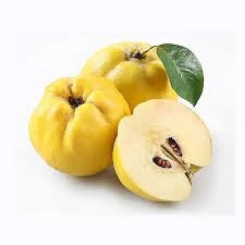 سفرجل