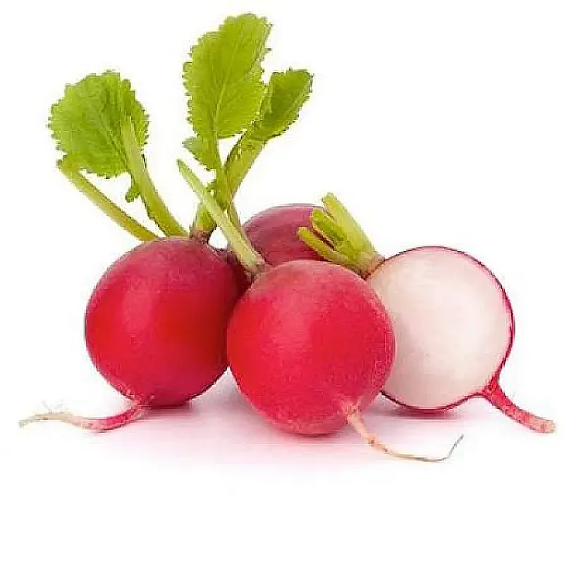 فجل