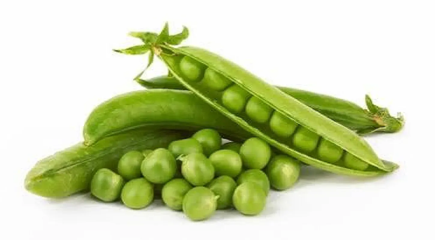بازلة خضرة