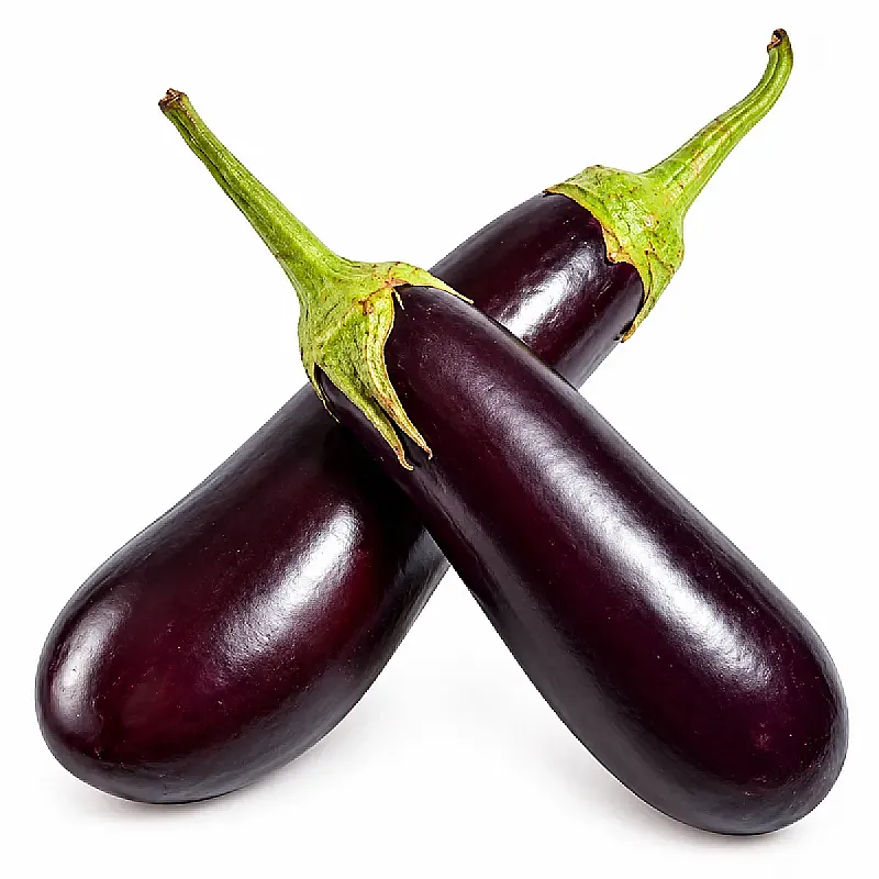 باذنجان معلق